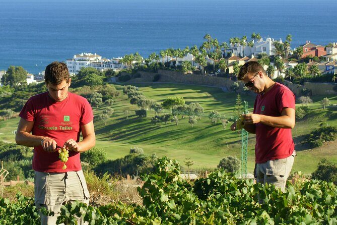 Manilva Oceanfront Wine Experience in the Marbella Area - Visiting the NILVA Winery