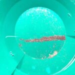 Mannheim: Gold panning with a local guide and accessories - Comparing with Similar Experiences