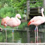 Mannheim, guided park tour: Luisenpark - What to Expect During the Tour