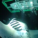 Manta Mania - Manta Ray Night Snorkel - Small-Group Experience In Kona, Hawaii - What Sets This Tour Apart