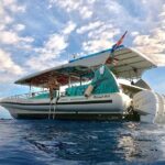 Manta Ray Snorkel Experience - What the Experience Feels Like