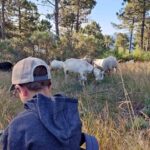 Manteigas: Serra da Estrela Shepherd Path Hike with Shepherd - What to Expect on the Shepherd Path Hike