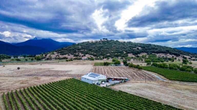 Mantinia: Caves, Wine Tasting & LunchTour - Exploring the Caves of Kapsia