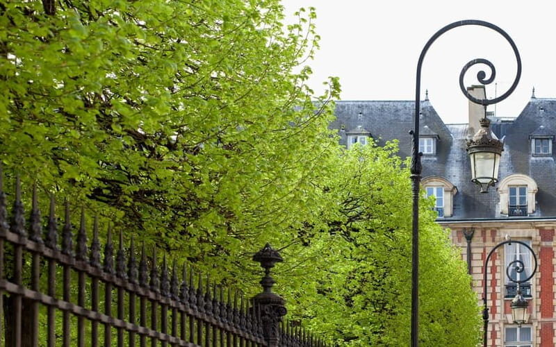 Marais Semi Private Walking Tour - What to Expect from the Tour