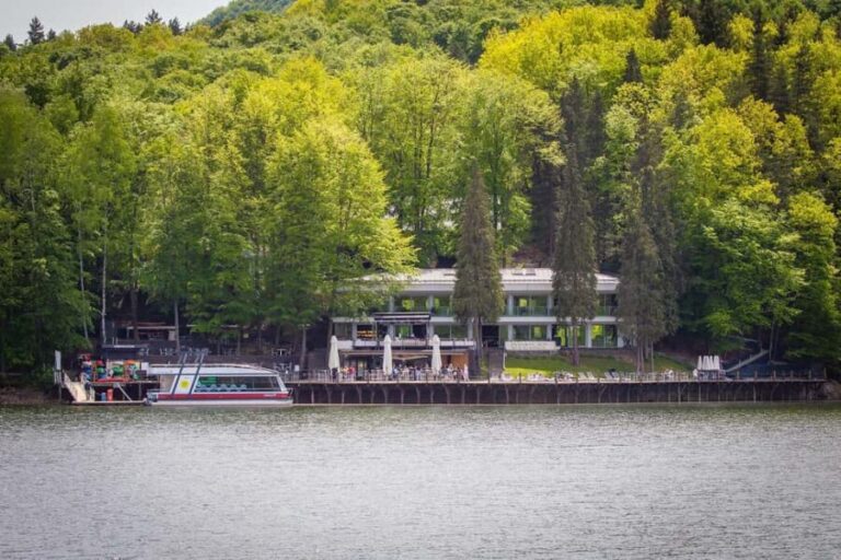 Maramure: Lake Firiza Electric Boat Tour with Audio Guide - What Makes This Tour Stand Out?