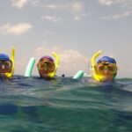 Marathon Key: 3-hour Snorkeling adventure on a Pontoon at Sombrero Reef - Authentic Perspectives from Travelers