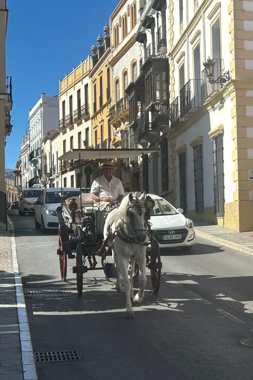 Marbella/Estep. Private VIP-Tour Ronda incl. Tapas & Drinks - The Itinerary in Detail