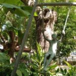 Marbella: Private Tour of the Historic Center - A Closer Look at Marbellas Historic Center