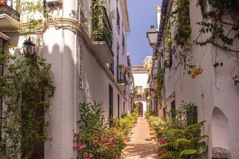 Marbella : Walking Custom Tour with a Local Guide - Dive Into Marbella’s Charm: What the Tour Covers
