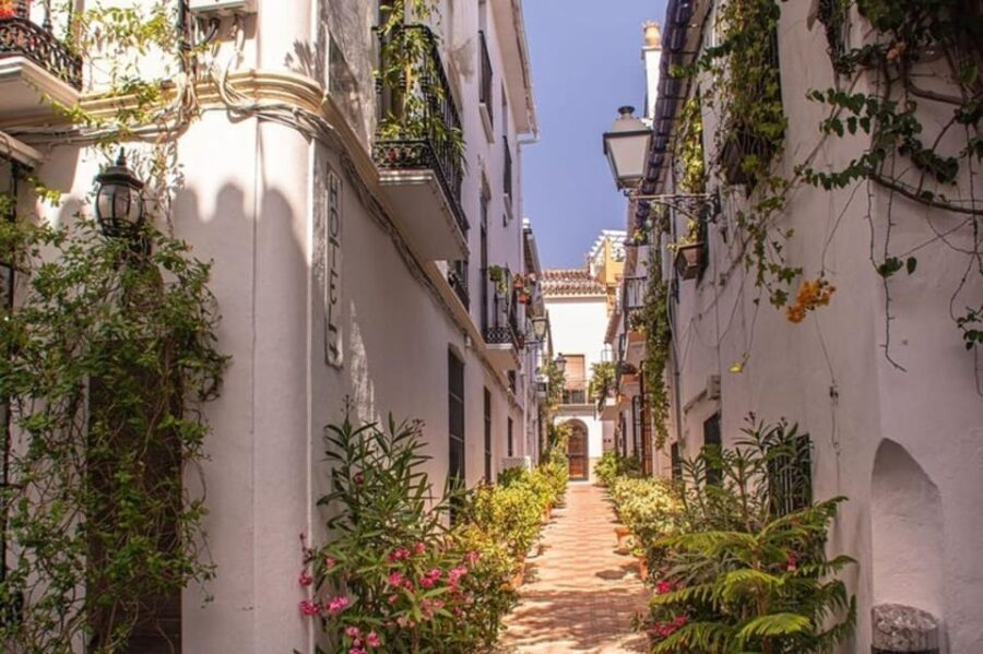 Marbella : Walking Custom Tour with a Local Guide - Dive Into Marbella’s Charm: What the Tour Covers