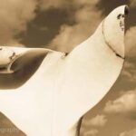 Marble Carving or Mosaic Basic Techniques -3 hour lesson - - Who Is This Workshop Best For?