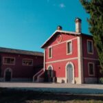 Marche: a unique visit and tasting at the D'Erasmo Winery among signature wines - FAQ