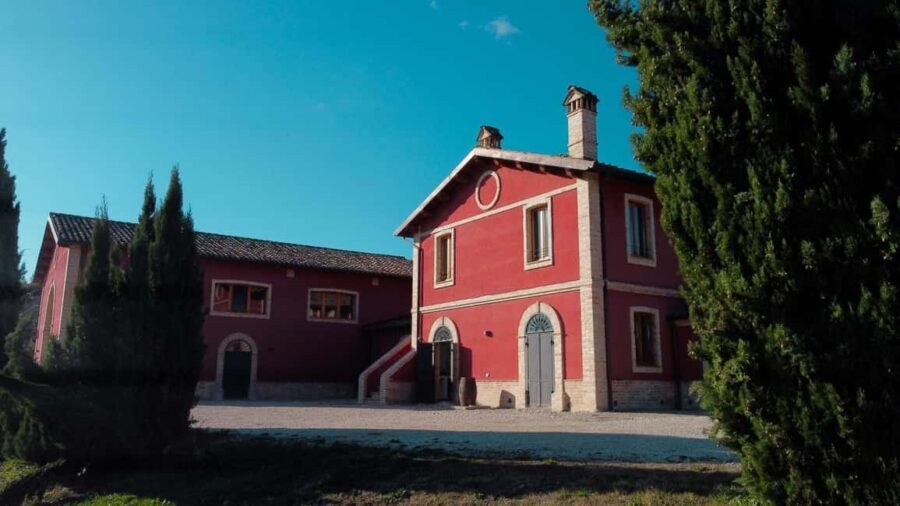 Marche: a unique visit and tasting at the D'Erasmo Winery among signature wines - FAQ