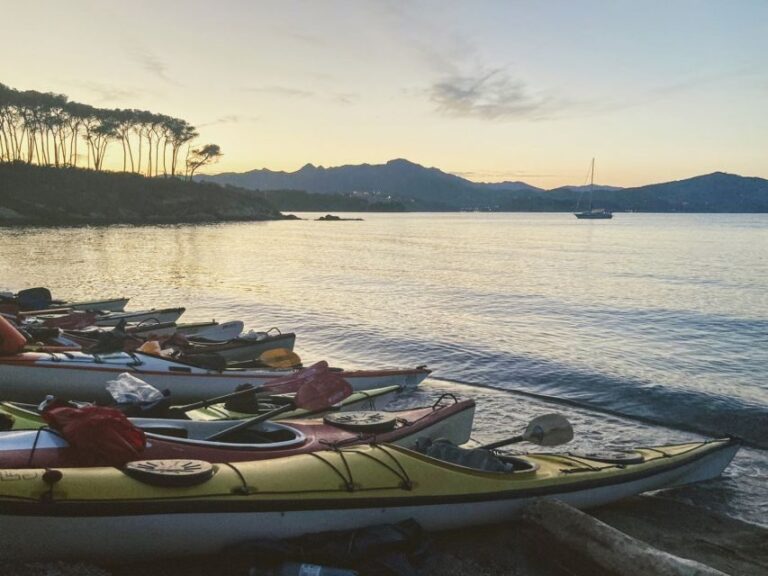 Marciana Marina: Evening Sea Kayaking Tour with Swim Stop - What to Expect During the Tour