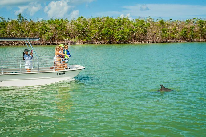 Marco Island Dolphin Sightseeing Tour - The Experience: Pros and Cons