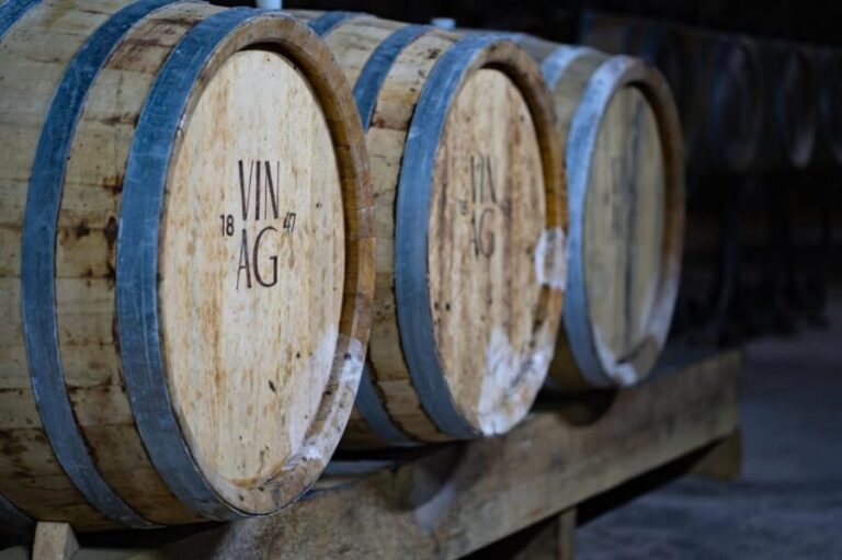 Maribor: Vinag Wine Cellar Tour with Wine tasting and snacks - The Practical Side: Details and Considerations