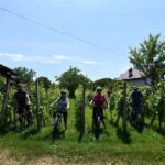 Marija Bistrica: E-bike riding on country roads - Who Should Consider This Tour?