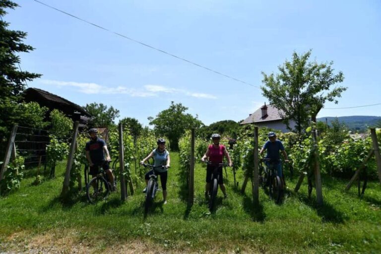 Marija Bistrica: E-bike riding on country roads - Who Should Consider This Tour?