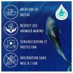 Marina Baie des Anges boat trip to the Pelagos Sanctuary - Is it Worth the Price?