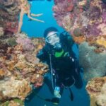 Marmaris Full Day Scuba Diving Two Dives With Lunch Hotel pickup - FAQ