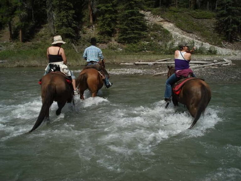 Marmaris: Horse Riding & Safari with Hotel Transfer - The Ride Itself: What to Expect