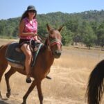 Marmaris Horseback Riding Experience - The Practicalities: Transportation, Duration, and More