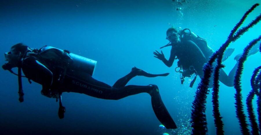 Marmaris: Scuba Diving Experience with 2 Dives and Lunch - The Experience’s Pros and Cons