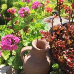 Marne: Champagne Region Private Day Tour with Lunch - How the Tour Feels in Practice