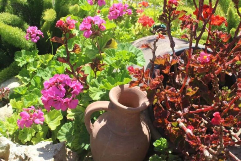 Marne: Champagne Region Private Day Tour with Lunch - How the Tour Feels in Practice