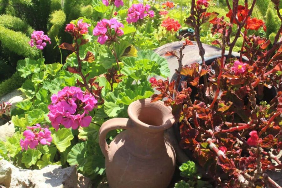 Marne: Champagne Region Private Day Tour with Lunch - How the Tour Feels in Practice