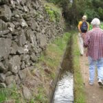 Maroços / Mimosa Valley - Levada Walk - Local Culture and the Charm of the Route