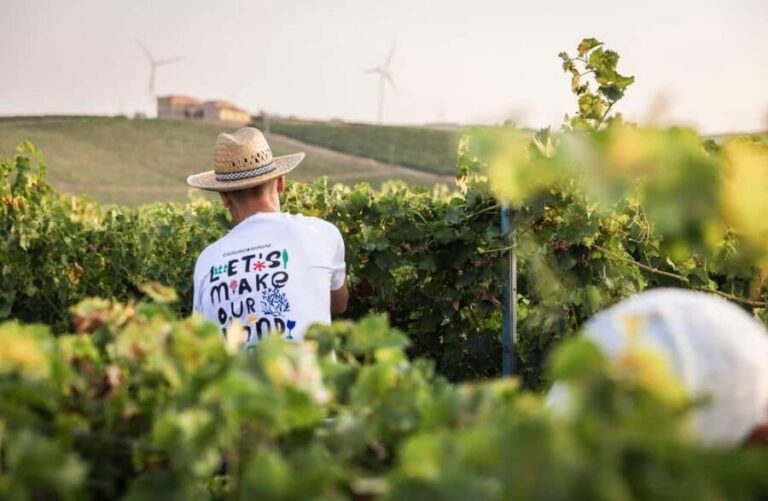 Marsala: Blindfolded Wine Tasting with Game and Gift - The Itinerary Breakdown