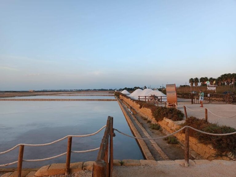 Marsala: Guided tour of the Genna Salt Pans - The Landscape and Views