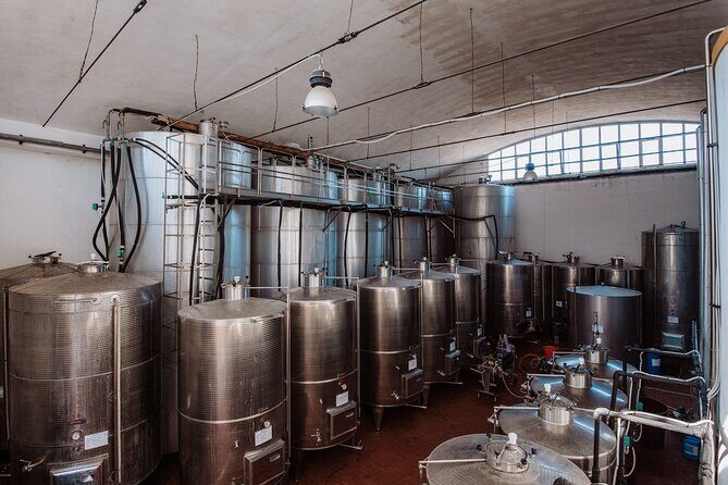 Marsala Tasting of 5 Sicilian organic wines - Experience Quality and Group Size