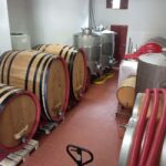 Marsala: Visit a Winery and Taste Artisanal Wines - Who Should Consider This Tour?