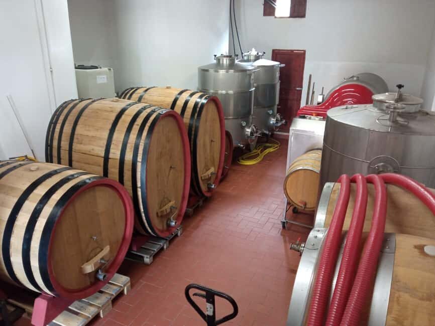 Marsala: Visit a Winery and Taste Artisanal Wines - Who Should Consider This Tour?