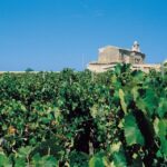 Marsala: Winery Tour with Wine Tasting and Local Products - Is It Worth The Price?
