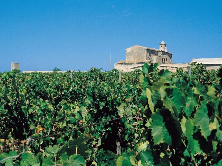 Marsala: Winery Tour with Wine Tasting and Local Products - Is It Worth The Price?
