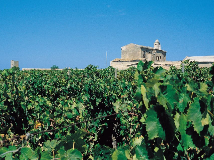 Marsala: Winery Tour with Wine Tasting and Local Products - Is It Worth The Price?