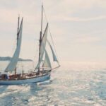 Marseille : Afternoon sailing trip - The Experience in Detail