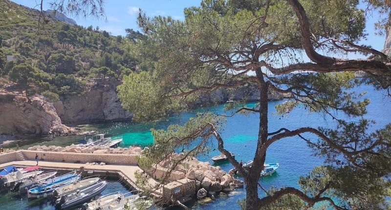 Marseille, Aix-en-Provence & Cassis 7-Hour Tour - The Good and the Not-So-Good