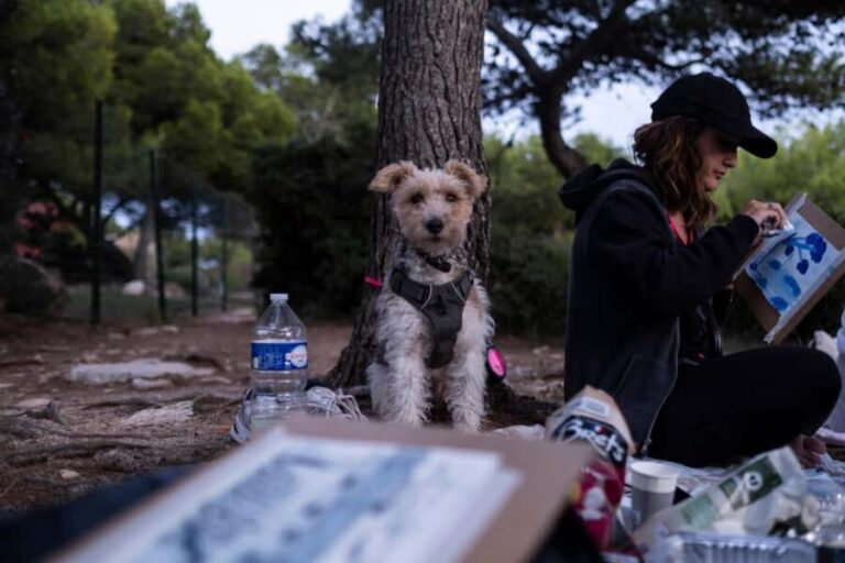 Marseille: Creative hike with watercolor and sketching on the Côte Bleue - FAQ