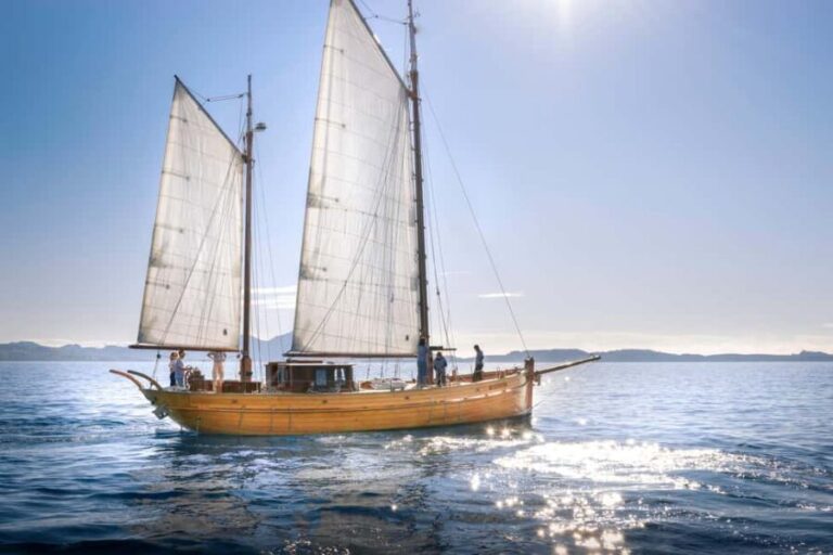 Marseille: Half-day sailing + snorkeling in the Calanques - The Itinerary in Detail