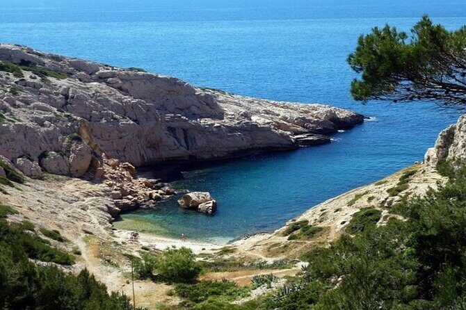 Marseille Old Port And Panier District Walking Tour - Who Should Consider This Tour?