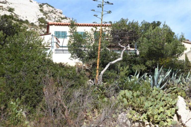 Marseille: Sormiou Calanque Half-Day Hiking Tour w/Swimming - The Charm of Sormiou Calanque