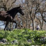 Martina Franca e-bike tour and visit to a breeding - Key Points