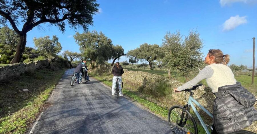 Marvão: bike tours in nature