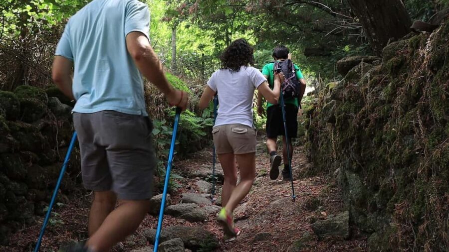 Marvão: Smuggling Trail Guided Hike with Olive Oil Tasting - An In-Depth Look at the Itinerary