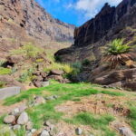 Masca Gorge Guided Hike + Boat Ride + Transport - What Travelers Are Saying