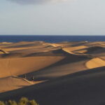 Maspalomas: 1 Hour Segway Sightseeing Tour - The Experience and How It Feels